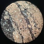 algae_stromatolite_-_morocco_ppl.jpg
