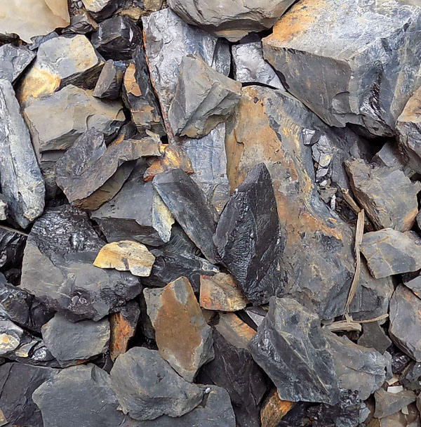 Lignite (Brown Coal) - Geology Superstore