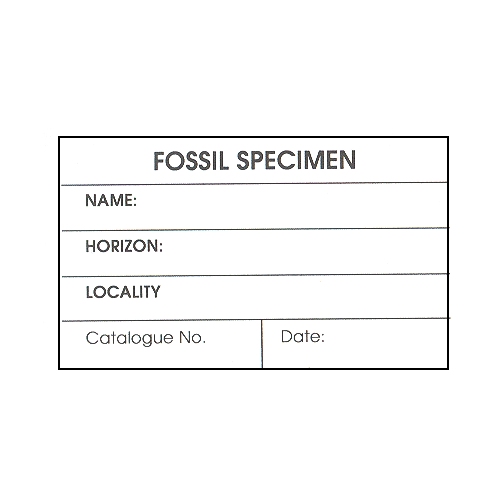 fossil_specimen_card.jpg