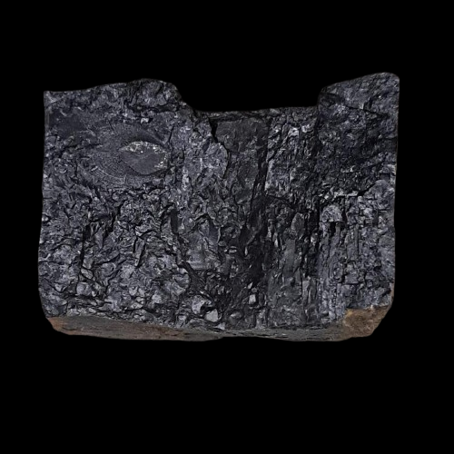 Cannel Coal