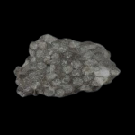 Coral_Limestone-removebg-preview
