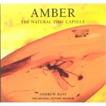 amber_the_natural_time_capsule.jpg