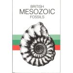 british_mesozoic_fossils.jpg